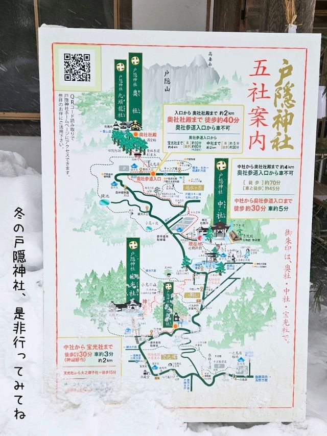 【長野／長野市】雪が降る戸隠神社の杉並木と中社⁡