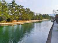 日本三景-天橋立