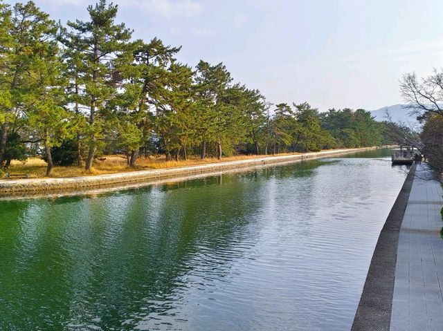 日本三景-天橋立