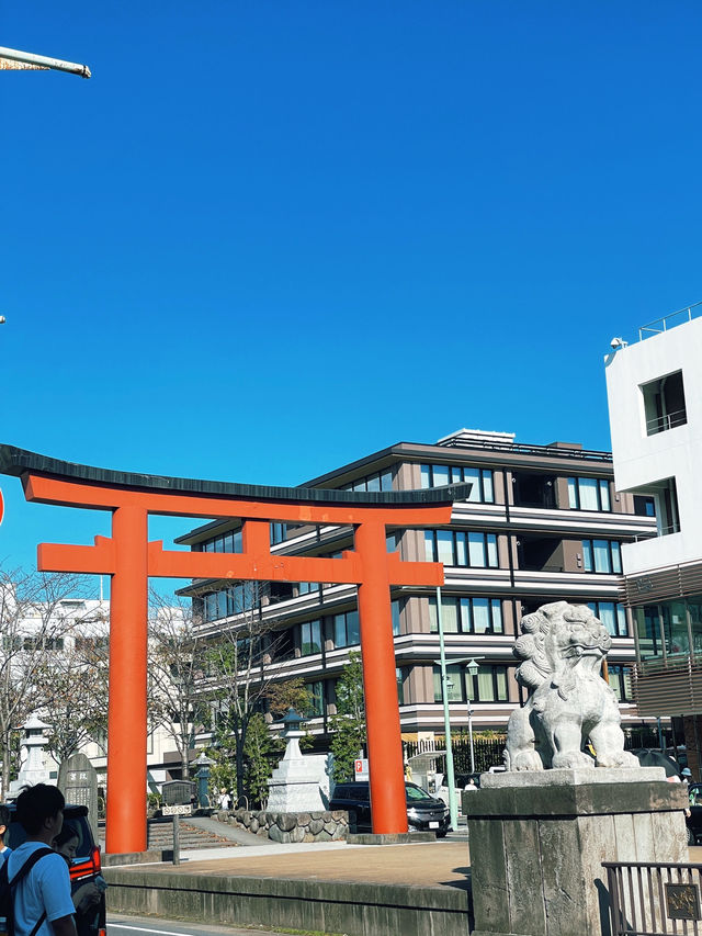 ไหว้พระ ขอพร ที่ศาลเจ้า | คามาคุระ ⛩️🏮