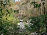 Great Nature Getaway Near Chiang Mai 