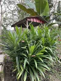 Scenic beauty and natural attractions in Jeli Kelantan 
