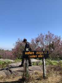 ภูลมโล (อุทยานภูหินร่องกล้า)