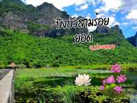 🌹🌷ดูบึง ดูบัว ⛰️🌈