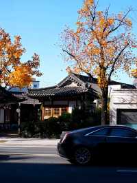 韓國大邱_必訪 極美哥德式聖堂 대구 계산동성당