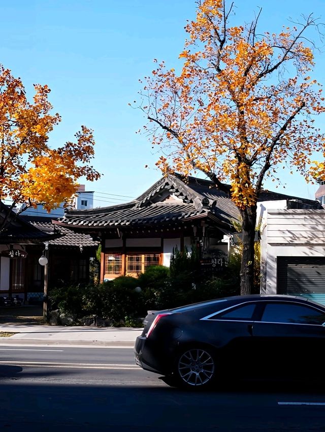 韓國大邱_必訪 極美哥德式聖堂 대구 계산동성당