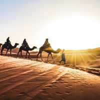 【モロッコ】一生に一度は行きたい！サハラ砂漠の大絶景 🐪🌅✨