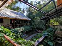 คาเฟ่สไตล์โฮมมี่ เหมือนมาบ้านเพื่อน จังหวัดพะเยา