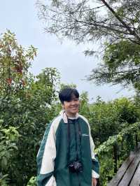 เกอลีโกล