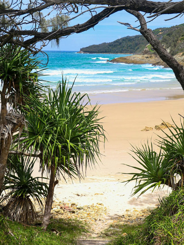 Moreton Island