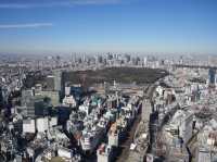 從晴空塔俯瞰絕美東京，東京最出片的地方！🇯🇵🗾