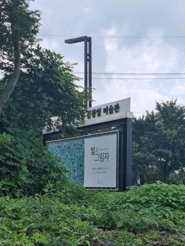 제주도에서 꼭가야하는 미술관💦