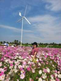 สวนดอกไม้ สมาภรณ์ การ์เด้น