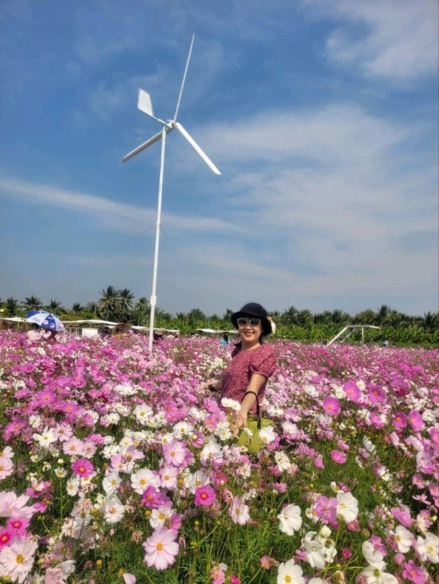 สวนดอกไม้ สมาภรณ์ การ์เด้น