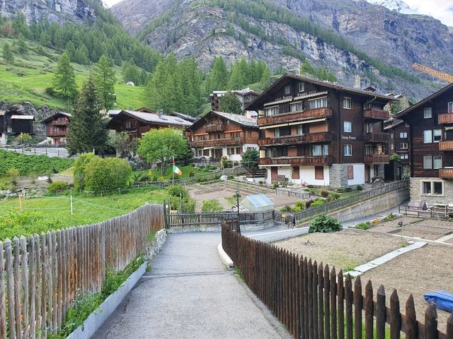 Zermatt - car-free town and blacknosed sheep
