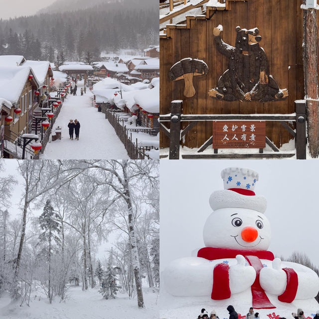 เที่ยว #ฮาร์บิน 5 วัน 4 คืน ที่สักครั้งควรไป ❄️🇨🇳