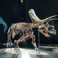 Explore the Wonders of Melbourne Museum 🇦🇺