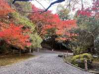 One-Hour Sojourn at Ryoan-ji Temple