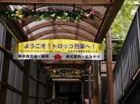 SAGANO ROMANTIC TRAIN