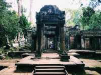 The Timeless Ruins of Ta Prohm