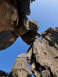 The Stone Forest Scenic Area