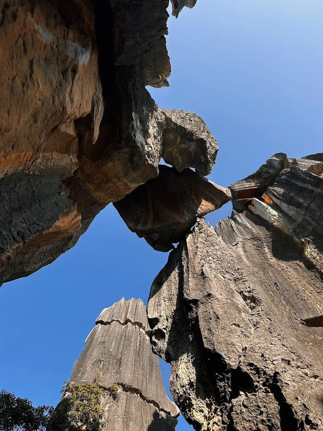 The Stone Forest Scenic Area