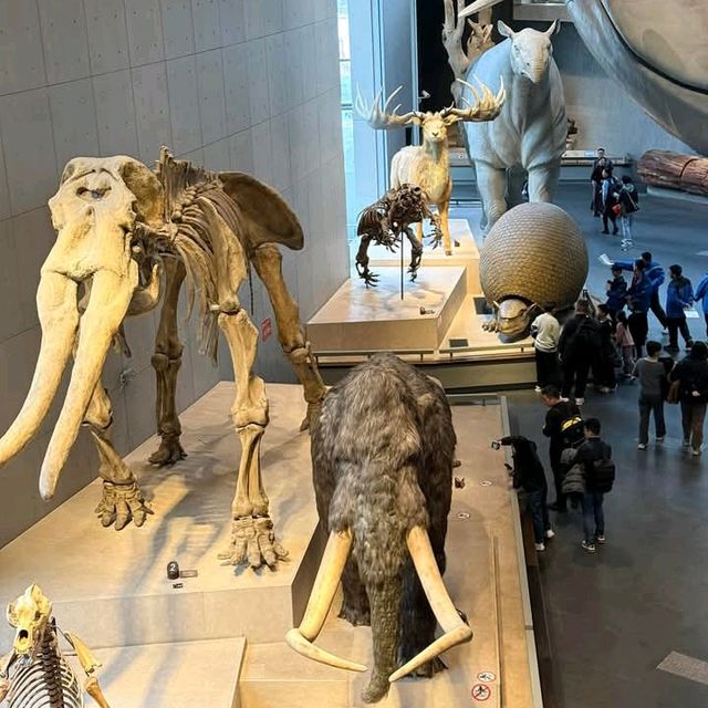 สุดยอดพิพิธภัณฑ์ Shanghai Natural History Museum