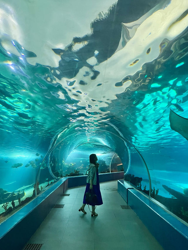 A Unique Dining Experience at Aquadining by Cebu Ocean Park