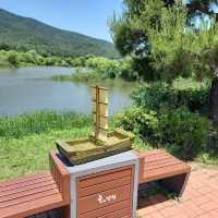 水の庭園 