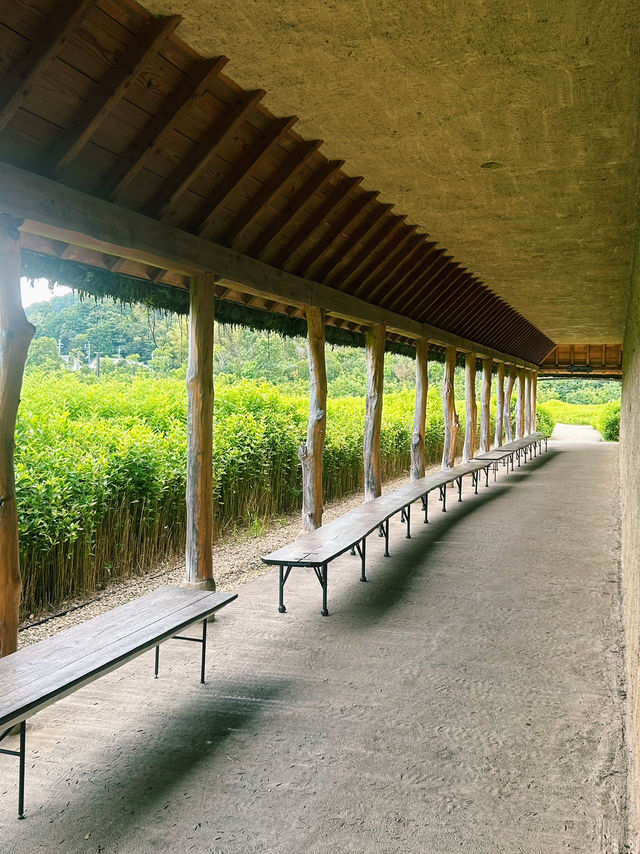 まるで絵本の世界！自然とスイーツの楽園🍃🍰