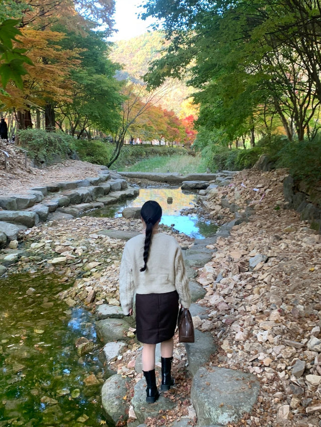 상소동 산림욕장