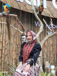Baan Chang cafe - บ้านช้างคาเฟ่ กระบี่ 