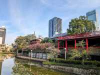 Tennoji Park (天王寺公園) – A Green Oasis in the City
