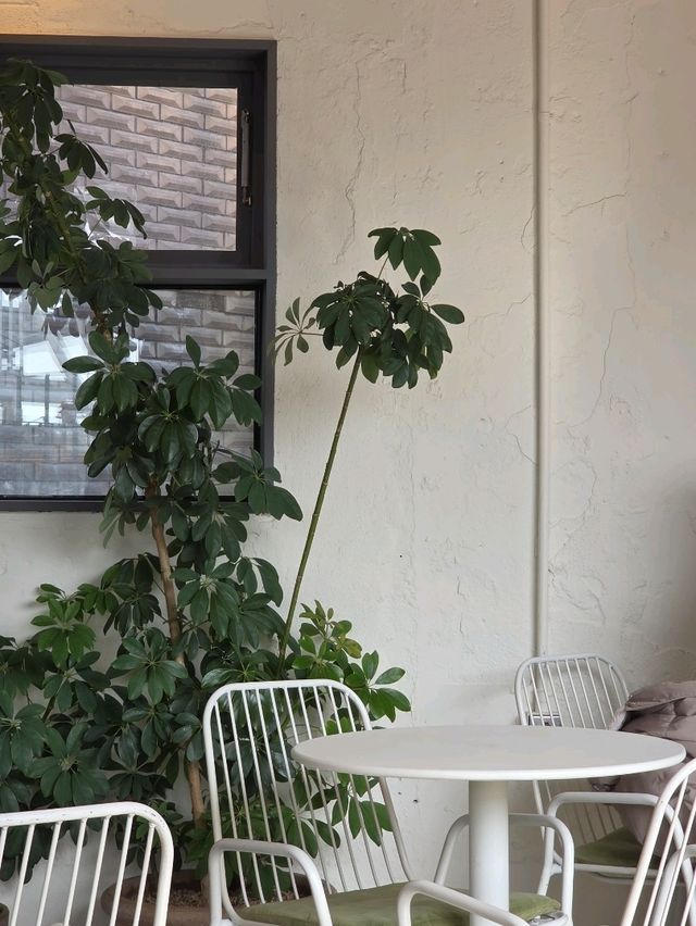 🧁신흥시장 골목에 숨어 있는 루프탑 카페🧁