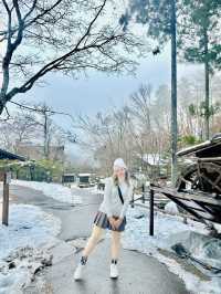 ✨🍂 หมู่บ้านพื้นเมืองฮิดะ 🍃✨