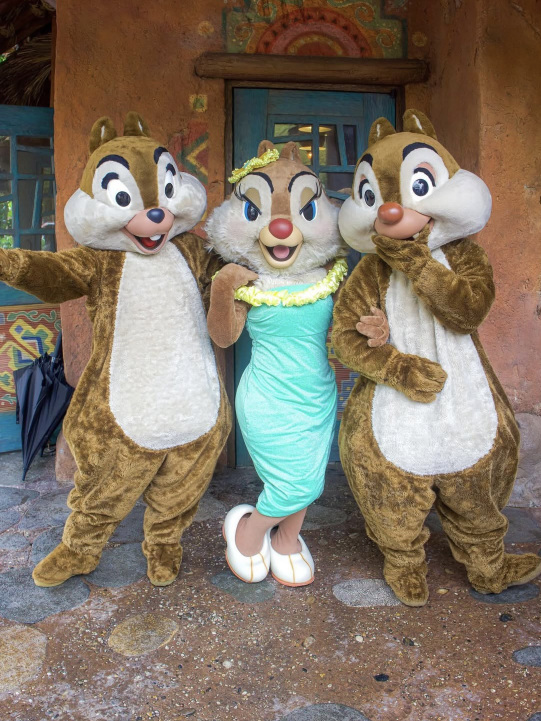 上海ディズニー】チップデール誕生日お祝い編🎉🐿 | Trip.com 上海