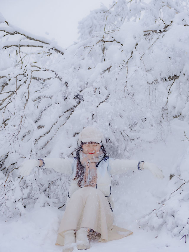 한국에 있는 진정한 겨울왕국 ❄️