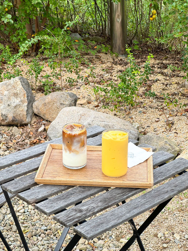 핑크뮬리를 볼 수 있는 기장 카페 바람💓