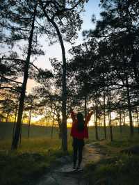 Comeback | ภูสอยดาว 🌄