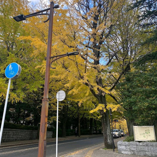 Kotodai Park (勾当台公園)