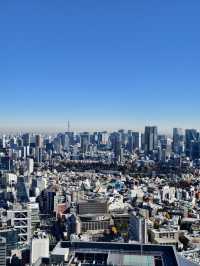 東京高229米的展望台
