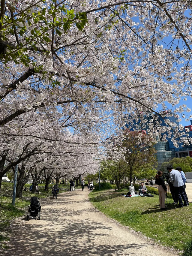 🇯🇵 大阪 🌸 扇町公園的松弛感