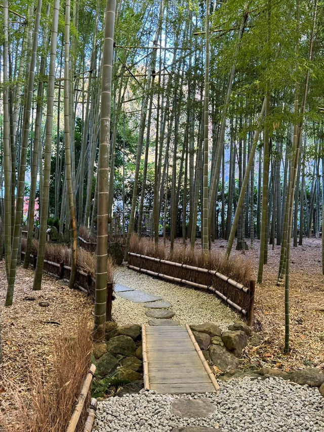 สวนไผ่เล็กๆที่วัด Hokokuji แถวๆ Kamakura