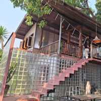 ร้าน คาเฟ่ เดอะกรีนฟอร์เรสท์ 