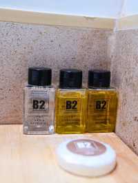 🎑 B2  Hat Yai Premier Hotel
