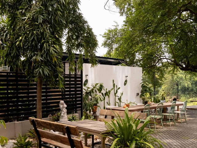 𝐎𝐧𝐥𝐲 𝐰𝐞 𝐊𝐧𝐨𝐰 𝐜𝐚𝐟𝐞 🌳☕️🍃