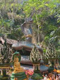 ม่อนกุเวร 1สถานที่ขอพรศักดิ์สิทธิ์ของชาวเชียงใหม่!