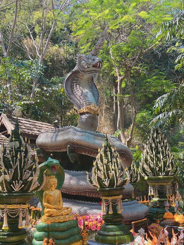ม่อนกุเวร 1สถานที่ขอพรศักดิ์สิทธิ์ของชาวเชียงใหม่!