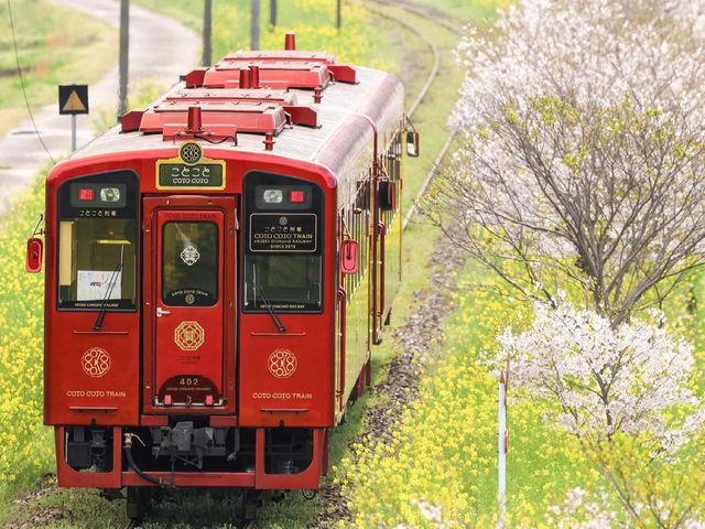 Chasing Sakura on the Coto Coto Train