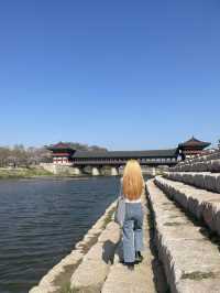 경주 벚꽃 명소, 황리단길 가볼 만한 곳